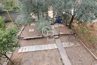 Bursa İli Orhangazi İlçesi Akharem Mevkiinde  SATILIK Hobi Bahçesi Olarak Dizayn edilen Arsamız