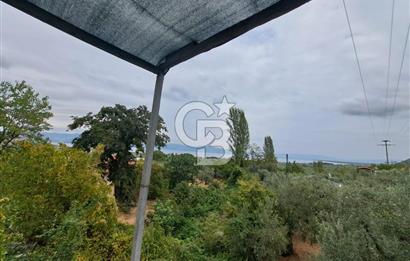 Bursa İli Orhangazi İlçesi Akharem Mevkiinde  SATILIK Hobi Bahçesi Olarak Dizayn edilen Arsamız