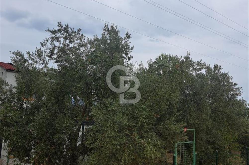 Bursa İli Orhangazi İlçesi Akharem Mevkiinde  SATILIK Hobi Bahçesi Olarak Dizayn edilen Arsamız