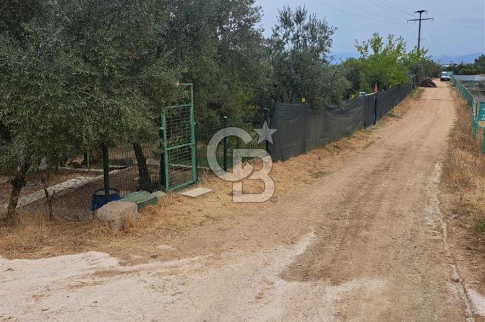 Bursa İli Orhangazi İlçesi Akharem Mevkiinde  SATILIK Hobi Bahçesi Olarak Dizayn edilen Arsamız