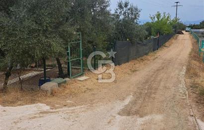 Bursa İli Orhangazi İlçesi Akharem Mevkiinde  SATILIK Hobi Bahçesi Olarak Dizayn edilen Arsamız