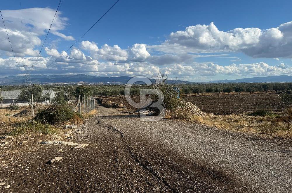 Menemen Türkelli Paşalar Mevkiinde Satılık 2.000 m² Tarla