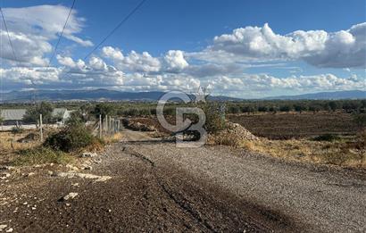 Menemen Türkelli Paşalar Mevkiinde Satılık 2.000 m² Tarla