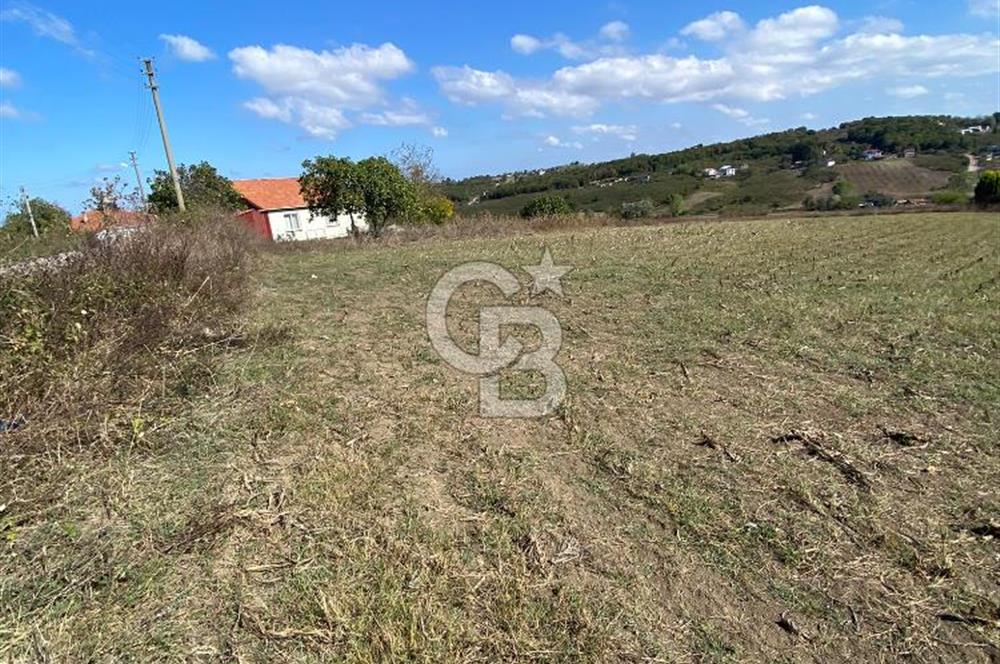KANDIRA BALLAR'DA % 40 VİLLA İMARLI 5530 M2 MÜSTAKİL TAPULU SATILIK ARSA