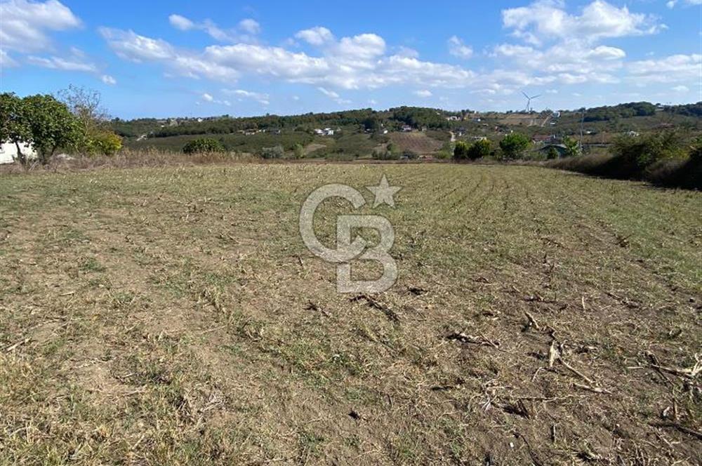 KANDIRA BALLAR'DA % 40 VİLLA İMARLI 5530 M2 MÜSTAKİL TAPULU SATILIK ARSA