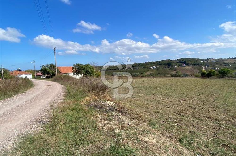 KANDIRA BALLAR'DA % 40 VİLLA İMARLI 5530 M2 MÜSTAKİL TAPULU SATILIK ARSA