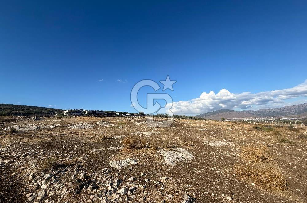 Menemen Türkelli Paşalar Mevkiinde Satılık 2.000 m² Tarla