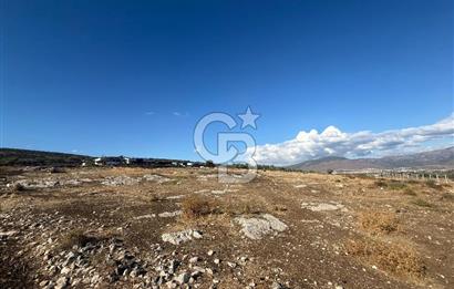 Menemen Türkelli Paşalar Mevkiinde Satılık 2.000 m² Tarla