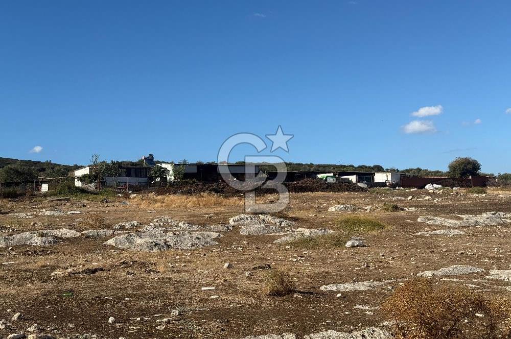 Menemen Türkelli Paşalar Mevkiinde Satılık 2.000 m² Tarla
