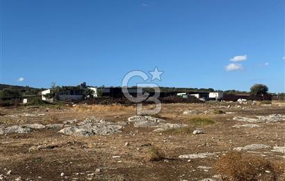 Menemen Türkelli Paşalar Mevkiinde Satılık 2.000 m² Tarla