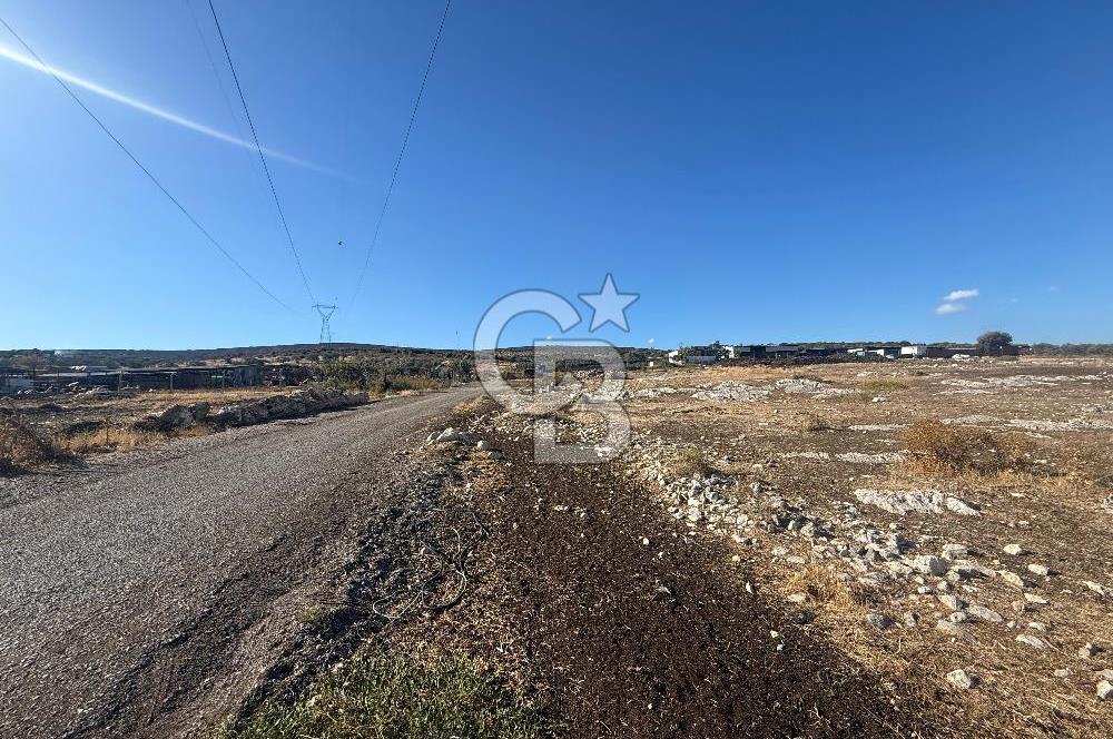 Menemen Türkelli Paşalar Mevkiinde Satılık 2.000 m² Tarla