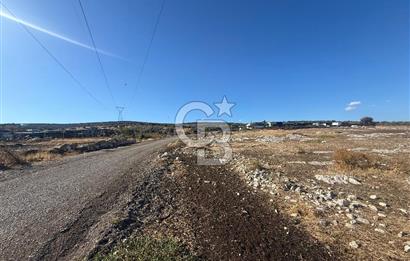 Menemen Türkelli Paşalar Mevkiinde Satılık 2.000 m² Tarla