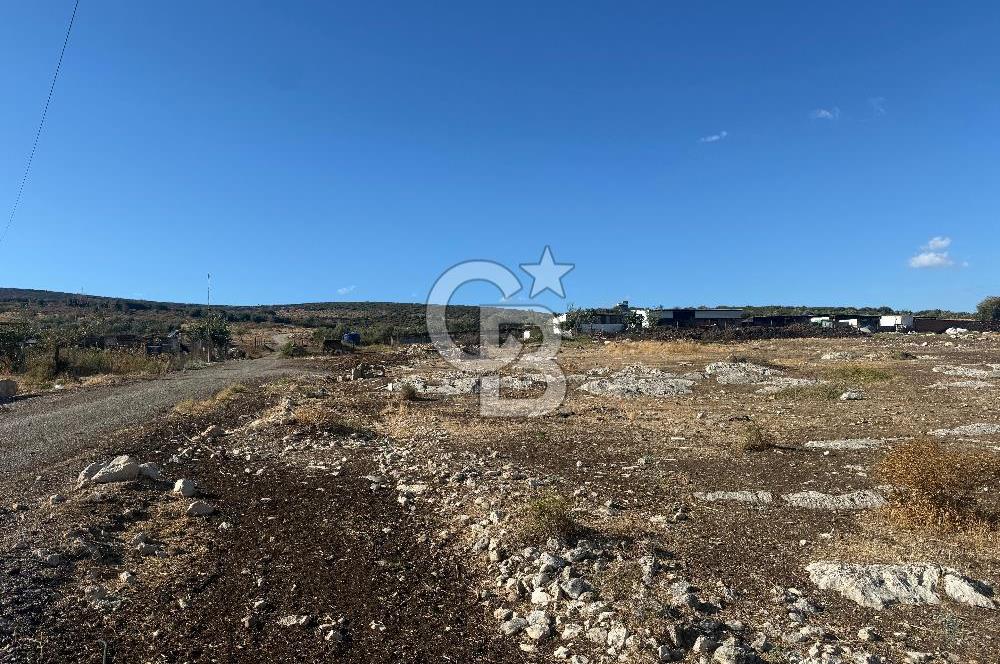 Menemen Türkelli Paşalar Mevkiinde Satılık 2.000 m² Tarla