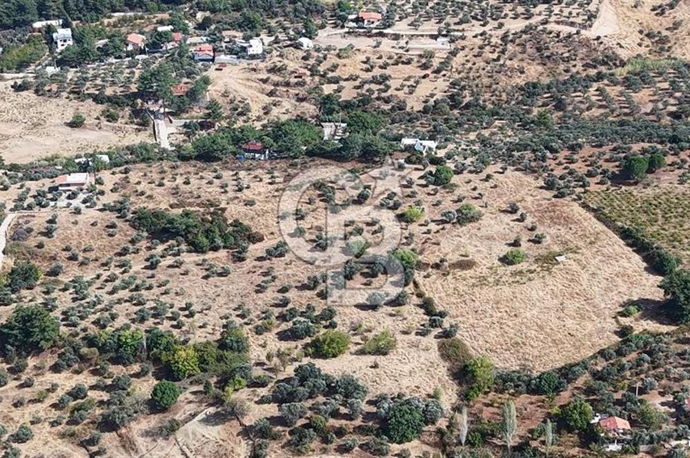 Kemalpaşa Aşağıkızılca'da 6,594 M2 Satılık Tarla