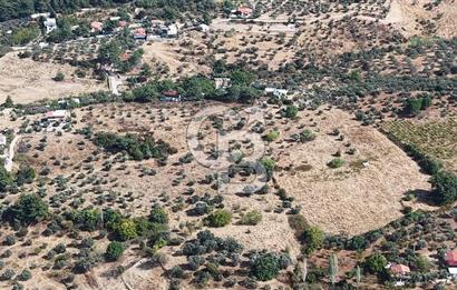 Kemalpaşa Aşağıkızılca'da 6,594 M2 Satılık Tarla