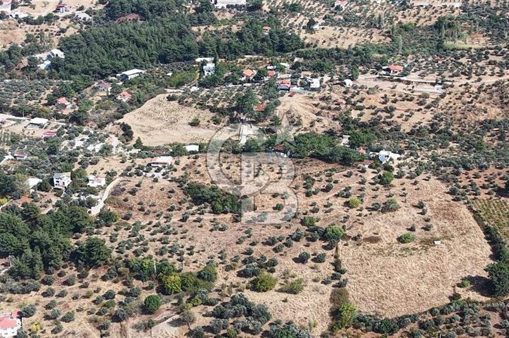 Kemalpaşa Aşağıkızılca'da 19,538 M2 Satılık Tarla