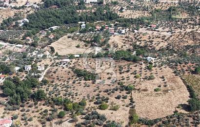 Kemalpaşa Aşağıkızılca'da 19,538 M2 Satılık Tarla