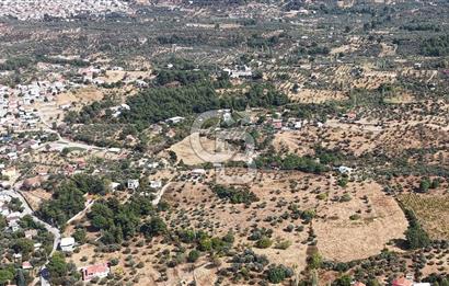 Kemalpaşa Aşağıkızılca'da 6,594 M2 Satılık Tarla