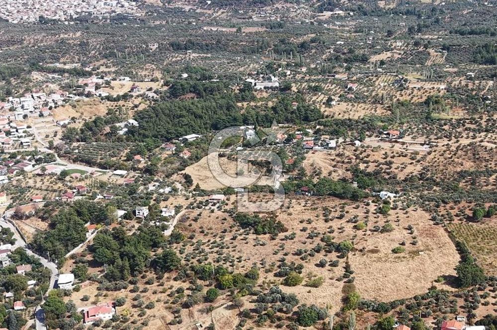 Kemalpaşa Aşağıkızılca'da 19,538 M2 Satılık Tarla