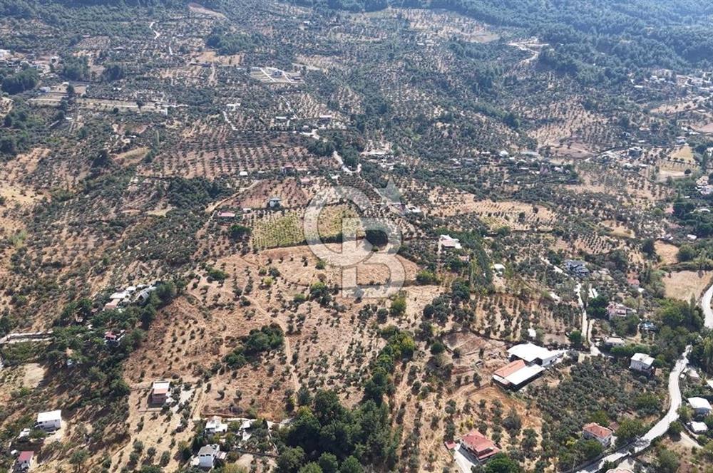 Kemalpaşa Aşağıkızılca'da 19,538 M2 Satılık Tarla