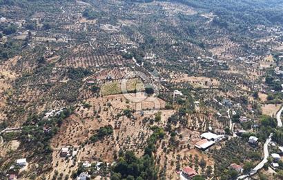 Kemalpaşa Aşağıkızılca'da 19,538 M2 Satılık Tarla