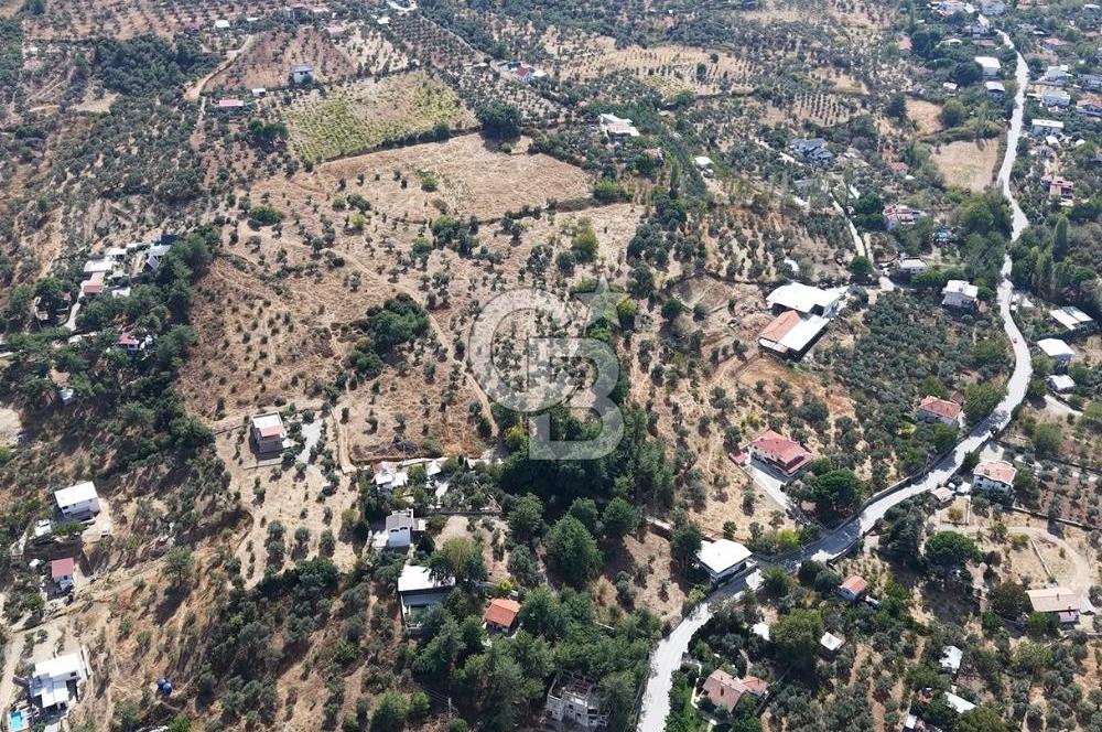 Kemalpaşa Aşağıkızılca'da 6,594 M2 Satılık Tarla
