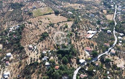 Kemalpaşa Aşağıkızılca'da 6,594 M2 Satılık Tarla