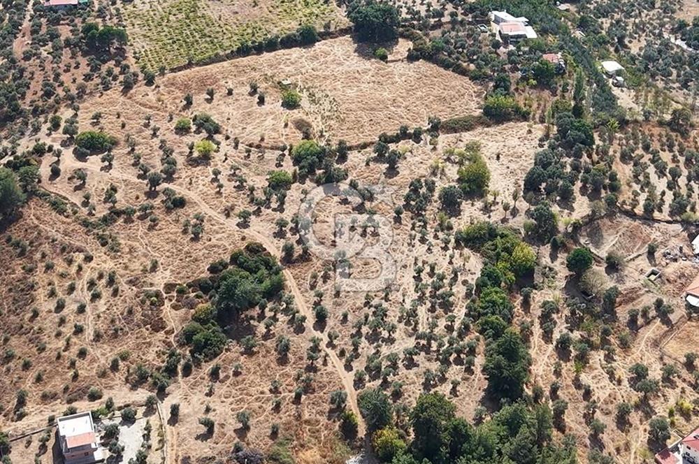 Kemalpaşa Aşağıkızılca'da 19,538 M2 Satılık Tarla