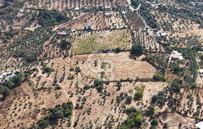 Kemalpaşa Aşağıkızılca'da 19,538 M2 Satılık Tarla