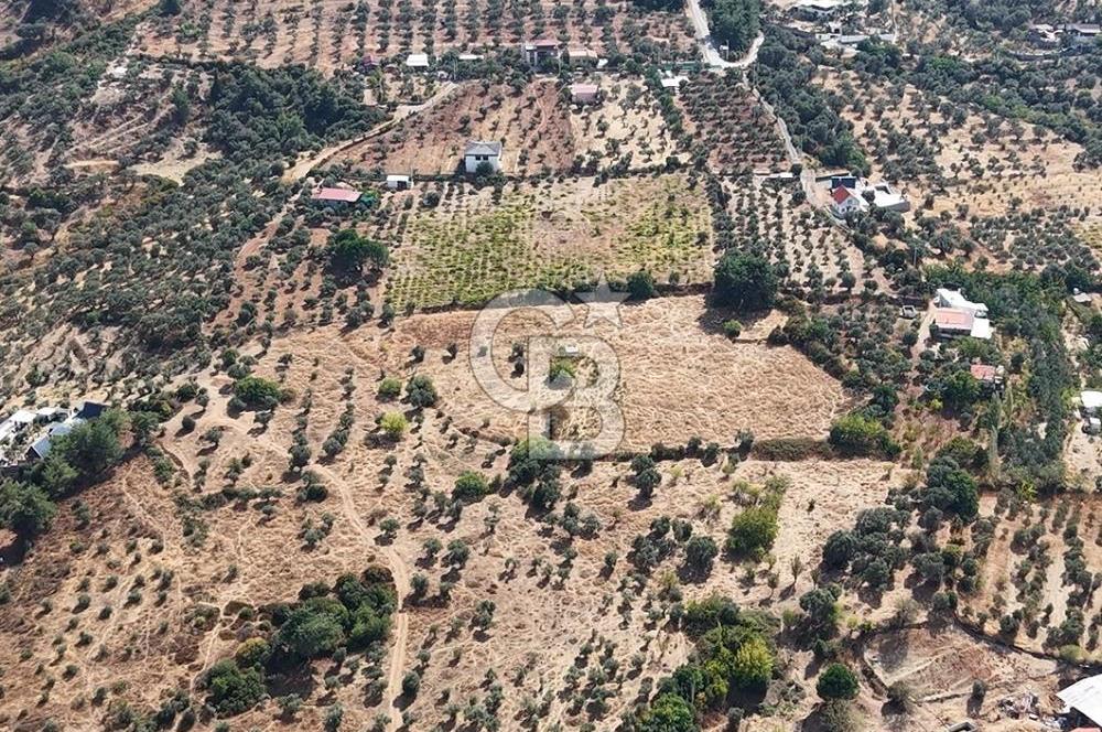 Kemalpaşa Aşağıkızılca'da 6,594 M2 Satılık Tarla