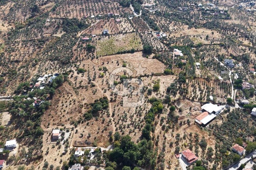 Kemalpaşa Aşağıkızılca'da 6,594 M2 Satılık Tarla