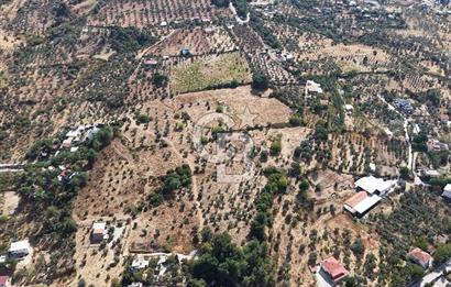 Kemalpaşa Aşağıkızılca'da 6,594 M2 Satılık Tarla