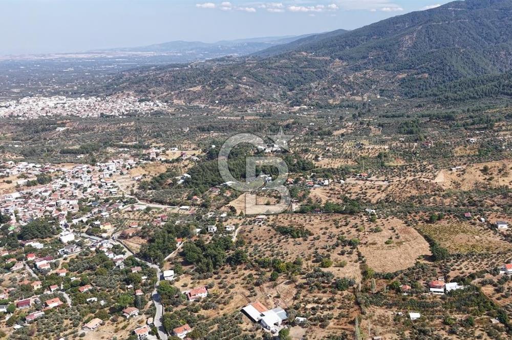 Kemalpaşa Aşağıkızılca'da 6,594 M2 Satılık Tarla