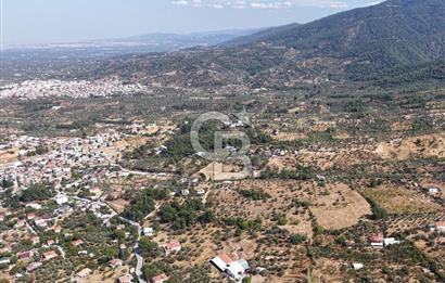 Kemalpaşa Aşağıkızılca'da 19,538 M2 Satılık Tarla