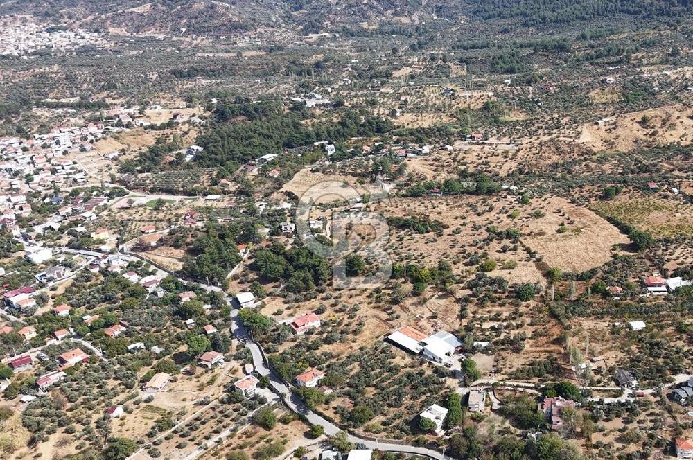 Kemalpaşa Aşağıkızılca'da 19,538 M2 Satılık Tarla
