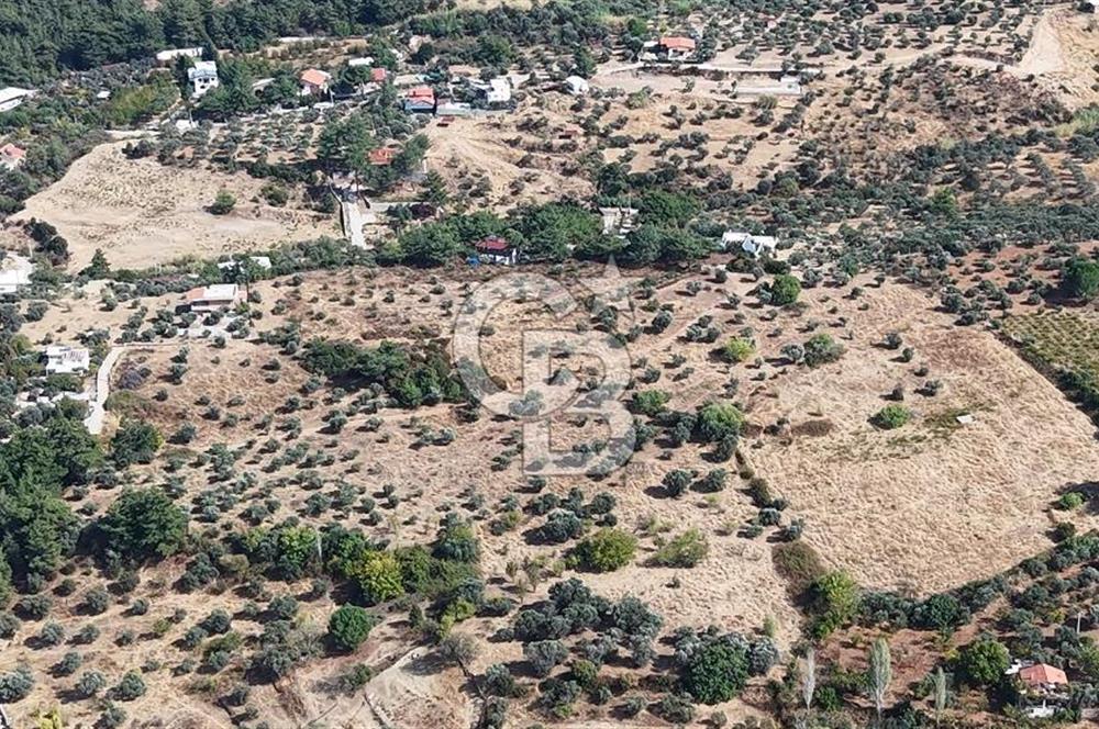 Kemalpaşa Aşağıkızılca'da 19,538 M2 Satılık Tarla