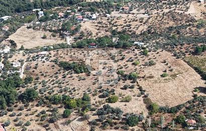 Kemalpaşa Aşağıkızılca'da 19,538 M2 Satılık Tarla