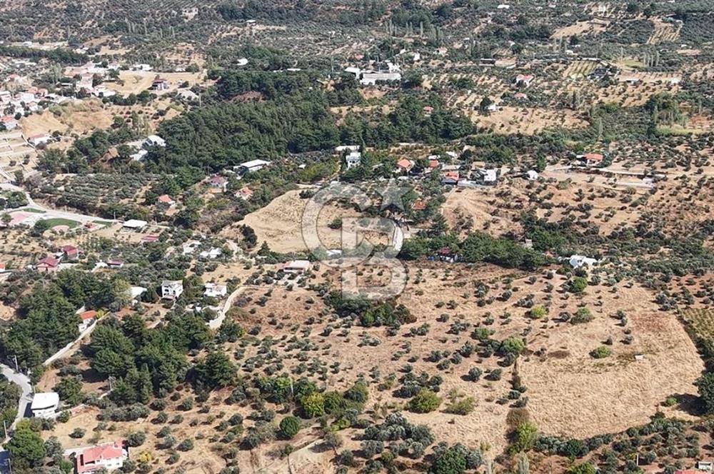Kemalpaşa Aşağıkızılca'da 19,538 M2 Satılık Tarla