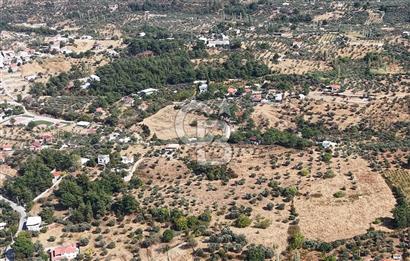 Kemalpaşa Aşağıkızılca'da 19,538 M2 Satılık Tarla