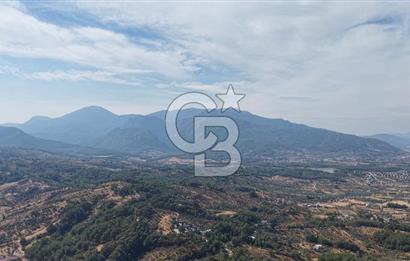 Kemalpaşa Aşağıkızılca'da 19,538 M2 Satılık Tarla