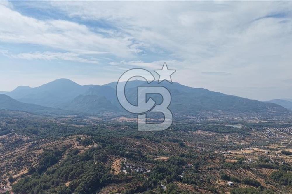Kemalpaşa Aşağıkızılca'da 6,594 M2 Satılık Tarla
