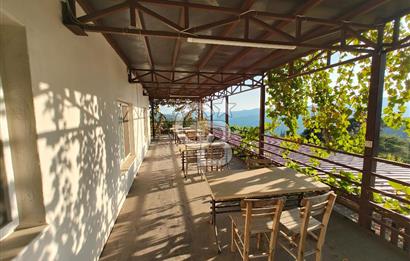 Toroslar'da Satılık Restoran Bahçeli ve Konut Alanlı