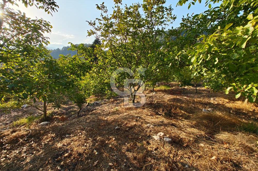 Toroslar'da Satılık Restoran Bahçeli ve Konut Alanlı