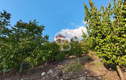 Toroslar'da Satılık Restoran Bahçeli ve Konut Alanlı