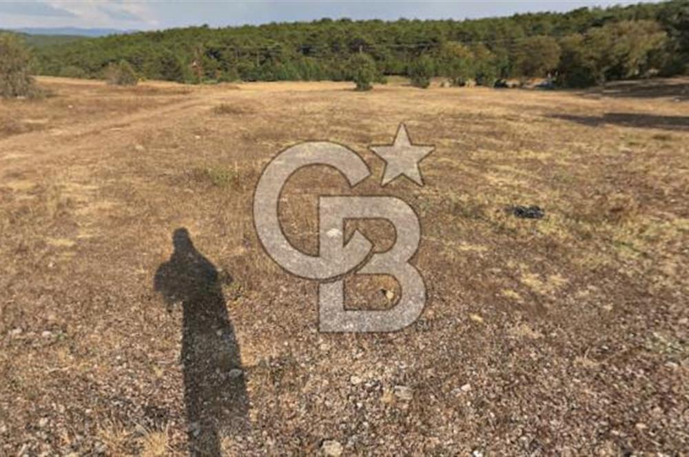 Eskişehir Tepebaşı Danişment te Satılık Tarla