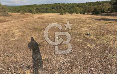 Eskişehir Tepebaşı Danişment te Satılık Tarla