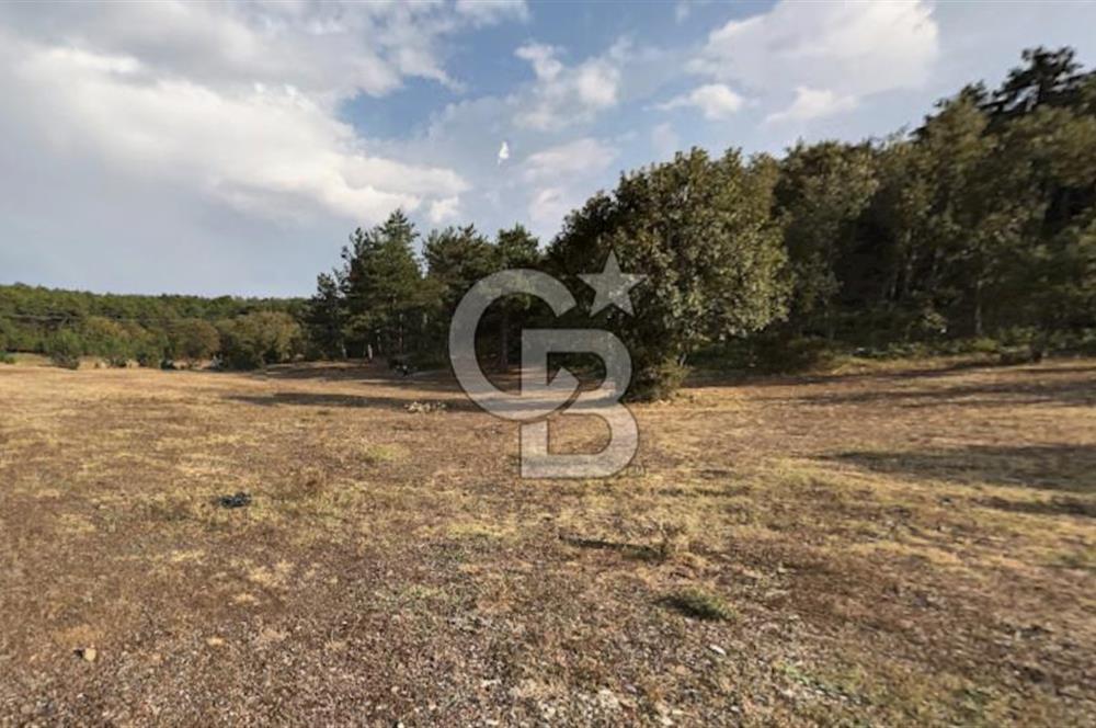 Eskişehir Tepebaşı Danişment te Satılık Tarla
