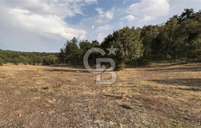 Eskişehir Tepebaşı Danişment te Satılık Tarla