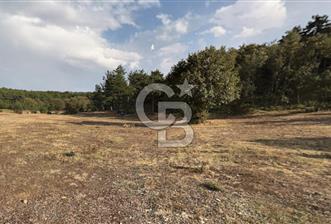 Eskişehir Tepebaşı Danişment te Satılık Tarla
