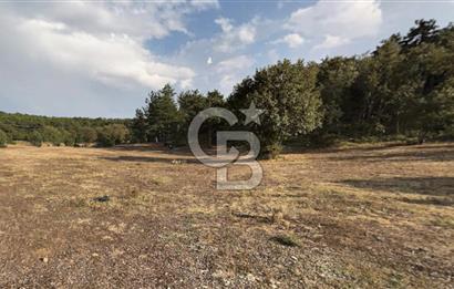 Eskişehir Tepebaşı Danişment te Satılık Tarla